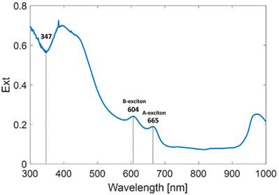 Single-Cell Photothermal Analysis Induced by MoS2 Nanoparticles by Raman Spectroscopy